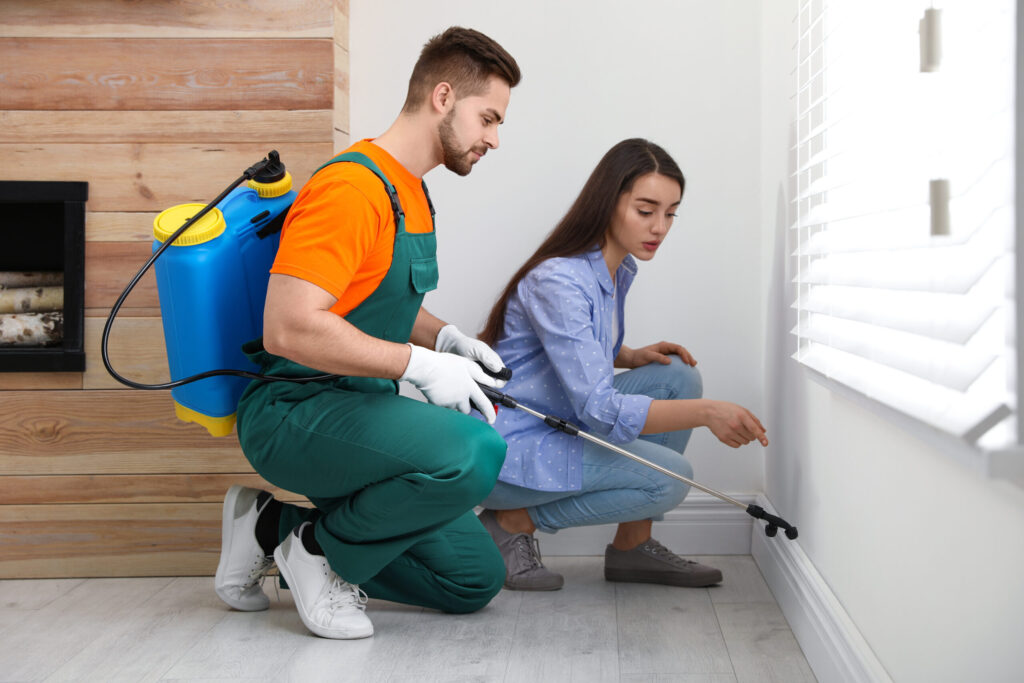 How to Prevent Damage to Structures When You Have Pests