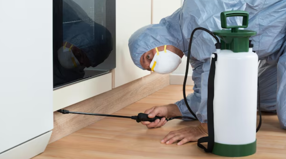 Enhance Your Home’s Safety and Comfort with These Essential Services