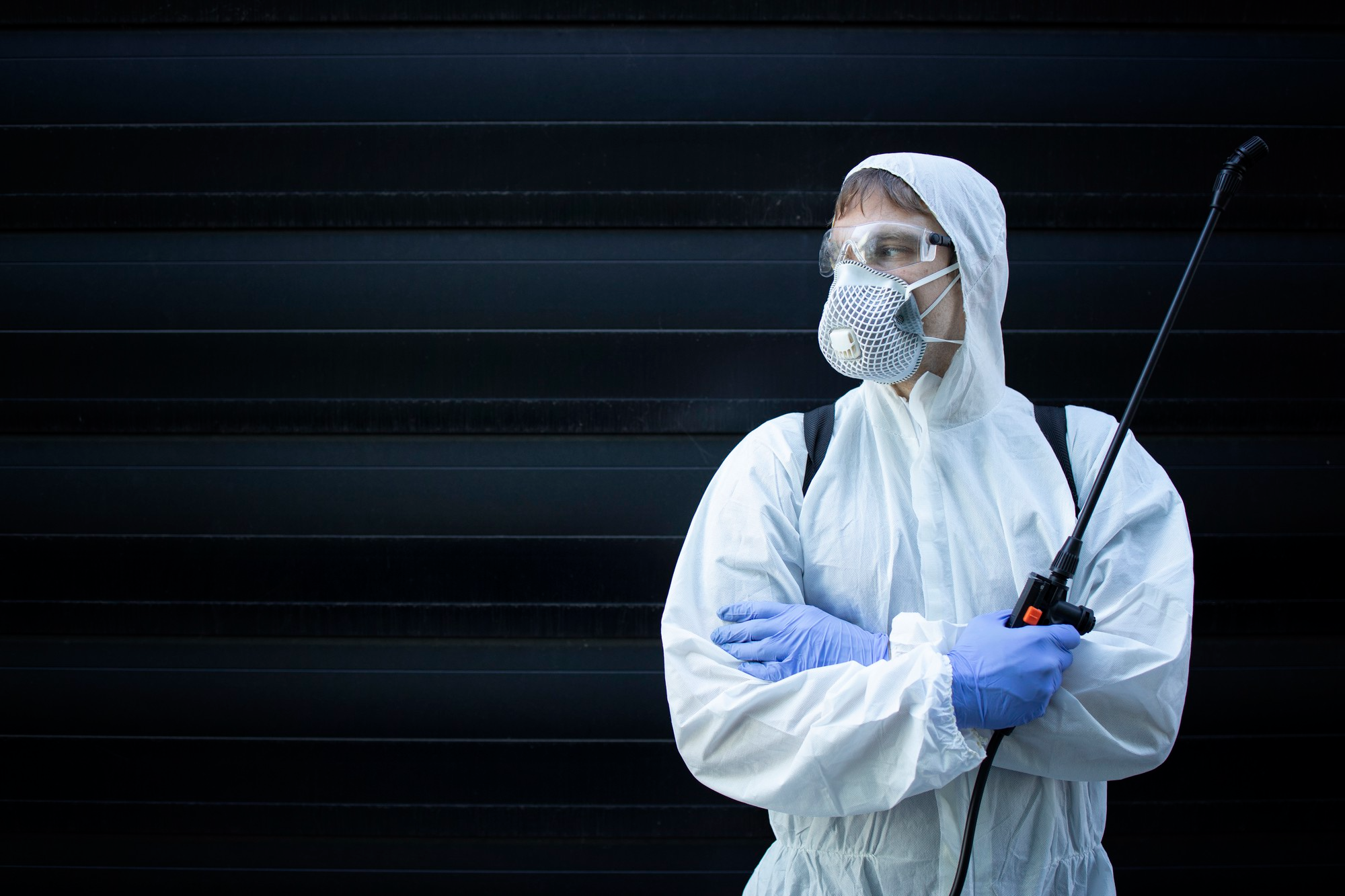 Difference between Pest Control and Wildlife Control 