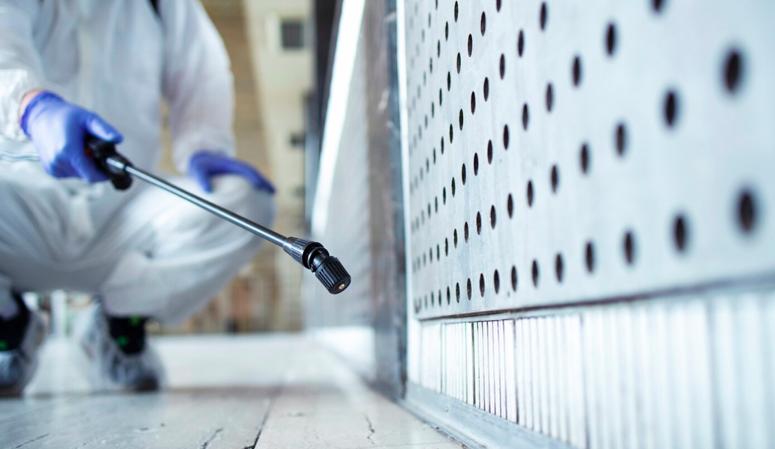 Guardian of Your Castle: Essential Benefits of Termite Control Services for Your Home